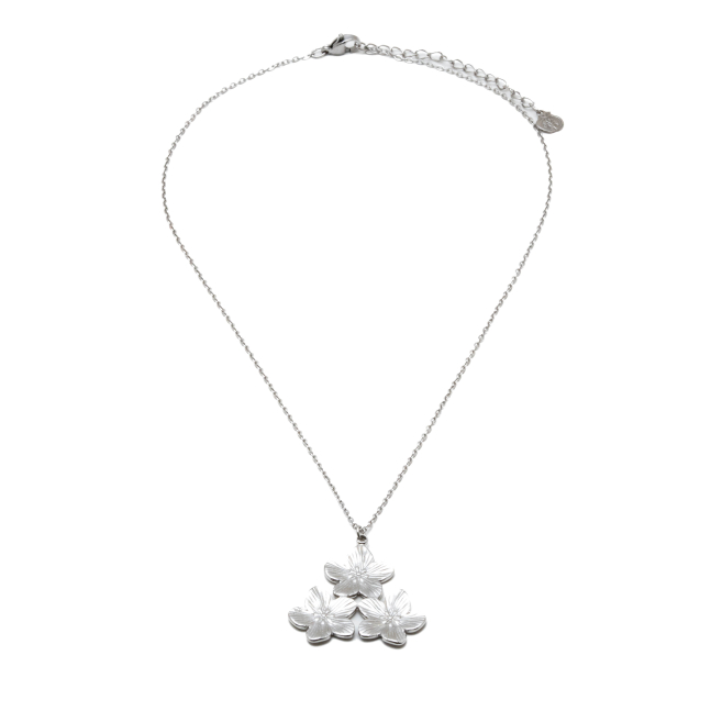 COLLAR ZO13096N PLATEADO Acero Inoxidable E25