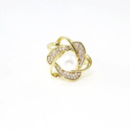 ANILLO Acero ZO10666R300 /2A41