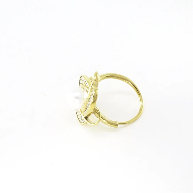 ANILLO Acero ZO10666R300 /2A41
