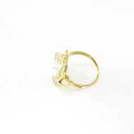 ANILLO Acero ZO10666R300 /2A41