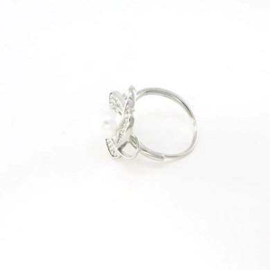 ANILLO Acero ZO10666R300 /2A41