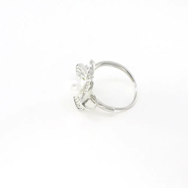 ANILLO Acero ZO10666R300 /2A41