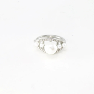 ANILLO Acero ZO10658R300 A24