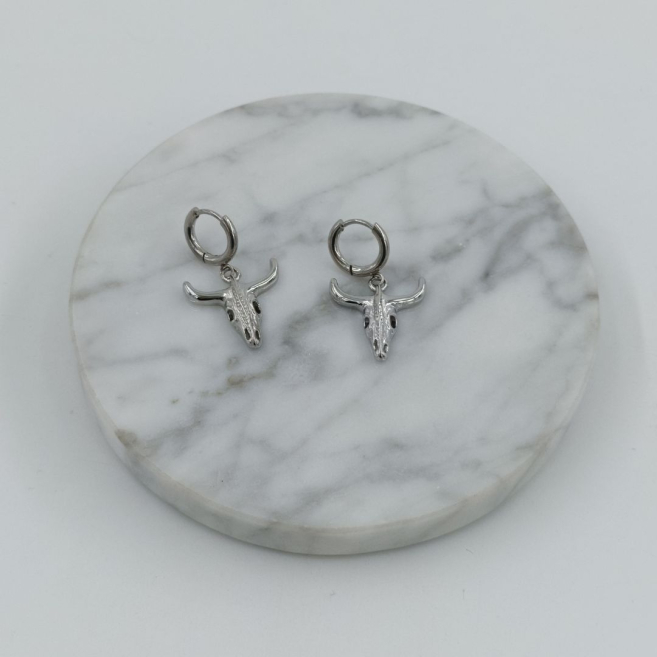 ARETES ZO10490E250 PLATEADO ACERO INOXIDABLE F43