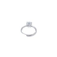 ANILLO ZO15447R PLATEADO ACERO INOXIDABLE A21 A21