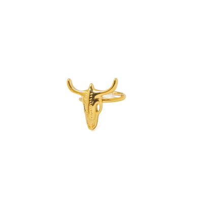 ANILLO Acero ZO10488R180 A510 A510