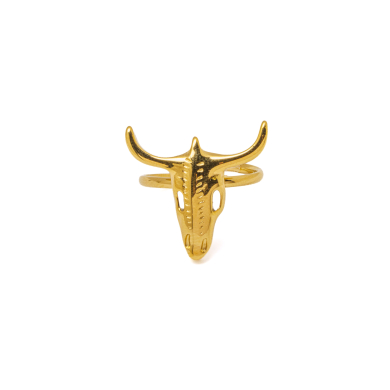 ANILLO Acero ZO10488R180 A510 A510