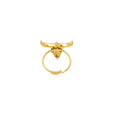 ANILLO Acero ZO10488R180 A510 A510