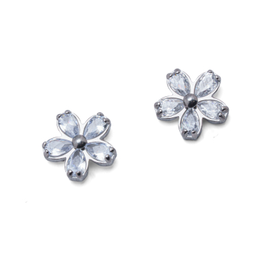 ARETES ZO15206E PLATEADO  ACERO INOXIDABLE F41
