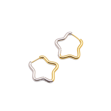 ARETES ZO16050E/23.5*23MM BICOLOR  ACERO INOXIDABLE F23