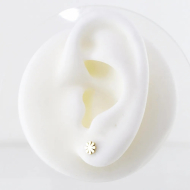 ARETES Acero ZO8507E100 /G11