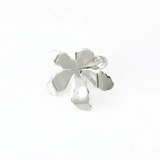 ANILLO Acero ZO10913R200 A23