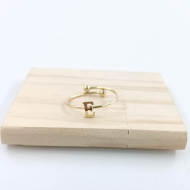 ANILLO COCN INICIAL E Acero ZO899R100 /2A17 -2A28