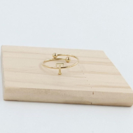 ANILLO COCN INICIAL T Acero ZO899R100 /2A17 -2A210