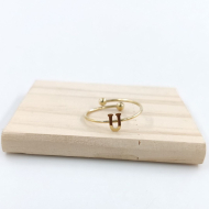 ANILLO COCN INICIAL U Acero ZO899R100 2A19 -2A210