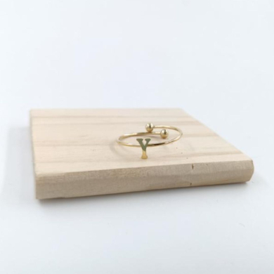 ANILLO COCN INICIAL Y Acero ZO899R100 /2A17 -2A210