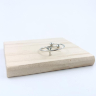 ANILLO COCN INICIAL Y Acero ZO899R100 /2A17 -2A210