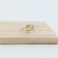 ANILLO COCN INICIAL M Acero ZO899R100 /2A17 -2A29