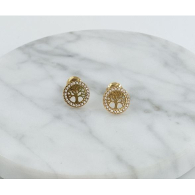 ARETES ACERO ZO11491E /G31