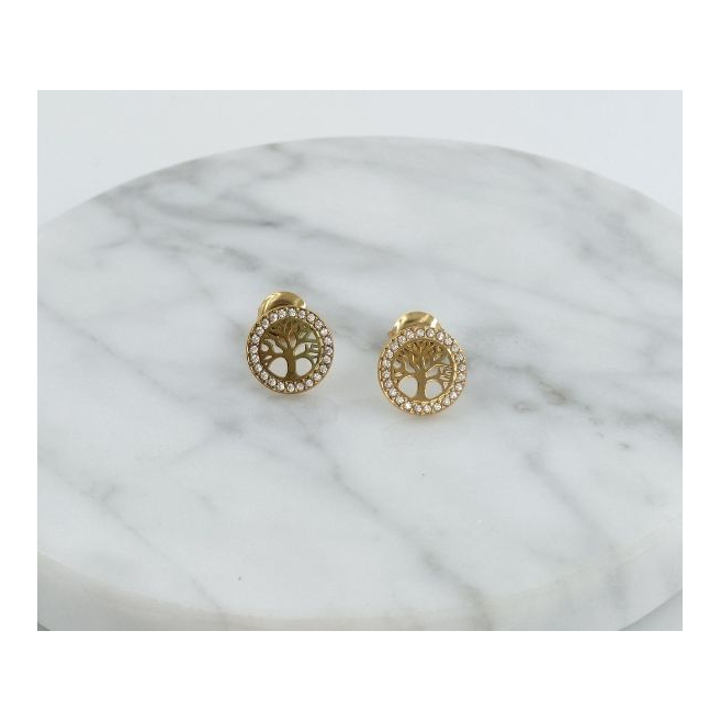 ARETES ACERO ZO11491E /G31