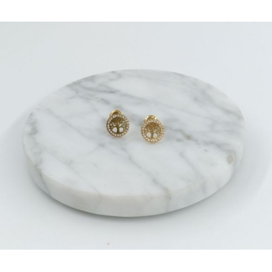ARETES ACERO ZO11491E /G31
