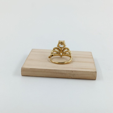 ANILLO Acero ZO10628R300 /A22