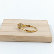 ANILLO Acero ZO10644R300 /A22