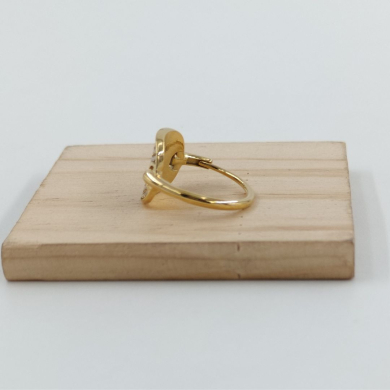 ANILLO Acero ZO10664R300 /A31