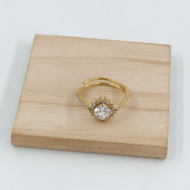 ANILLO Acero ZO10799R300 /A21