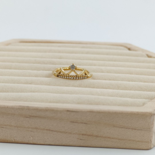 ANILLO Acero ZO10654R250 /A22