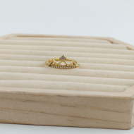 ANILLO Acero ZO10654R250 /A22