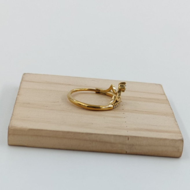 ANILLO Acero ZO10654R250 /A22