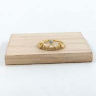ANILLO Acero ZO10654R250 /A22