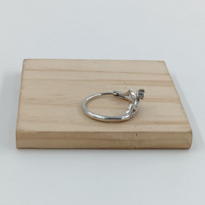 ANILLO Acero ZO10654R250 /A22