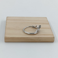 ANILLO Acero ZO10654R250 /A22