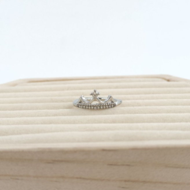 ANILLO Acero ZO10654R250 /A22