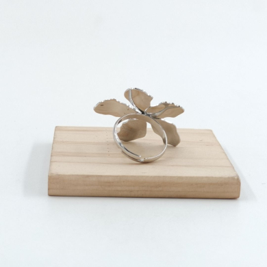 ANILLO Acero ZO10913R200 A23